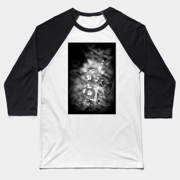 Speedwell wildflowers, black and white Baseball T-Shirt by DlmtleArt